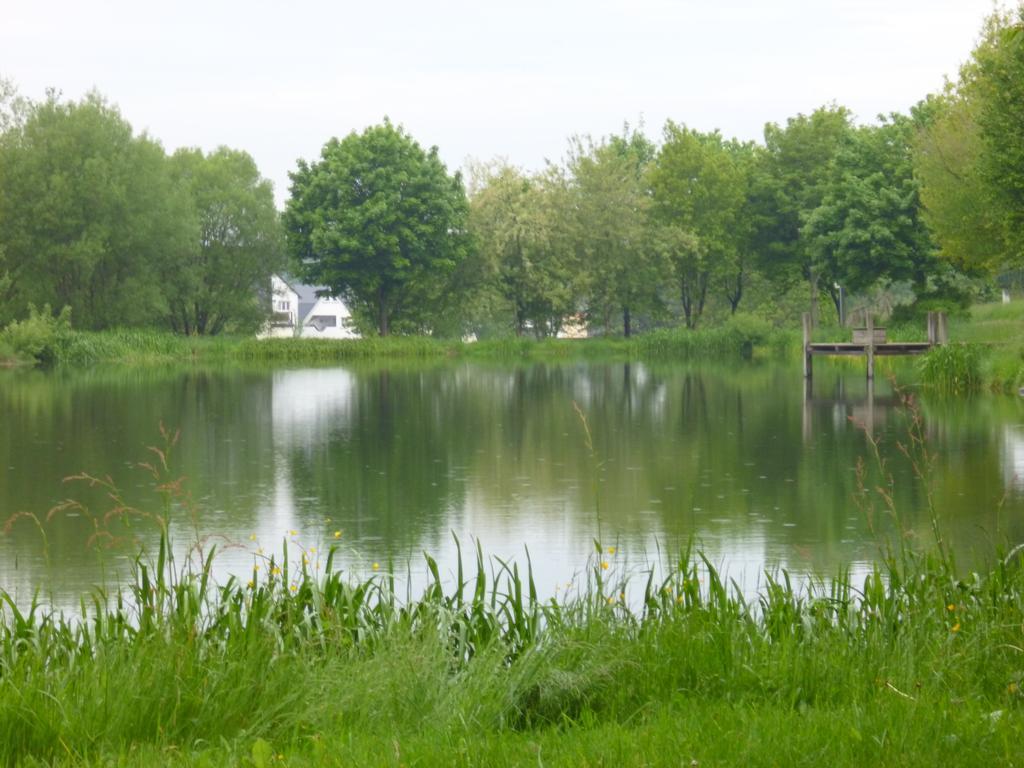 Apartmán Haus Wendling Blankenrath Pokoj fotografie